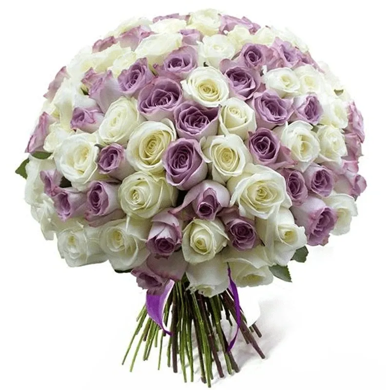 Розы Россия микс